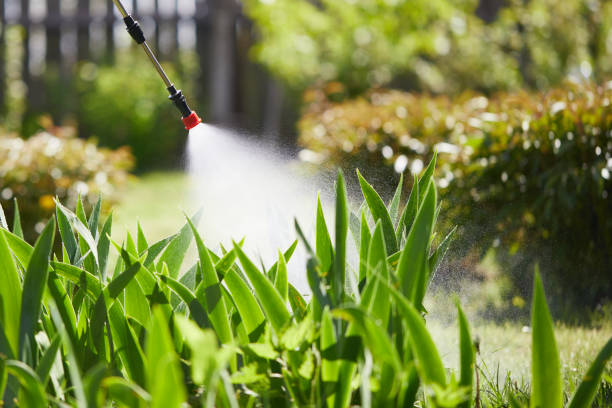24/7 Emergency Mosquito Control experts in Lebanon, IN